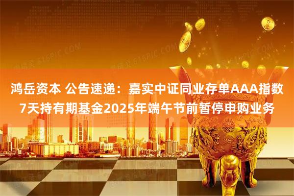 鸿岳资本 公告速递：嘉实中证同业存单AAA指数7天持有期基金2025年端午节前暂停申购业务